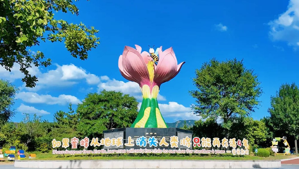 嗡嗡乐园蜜蜂王国，探索不设限的世界，揭露小蜜蜂的大智慧！